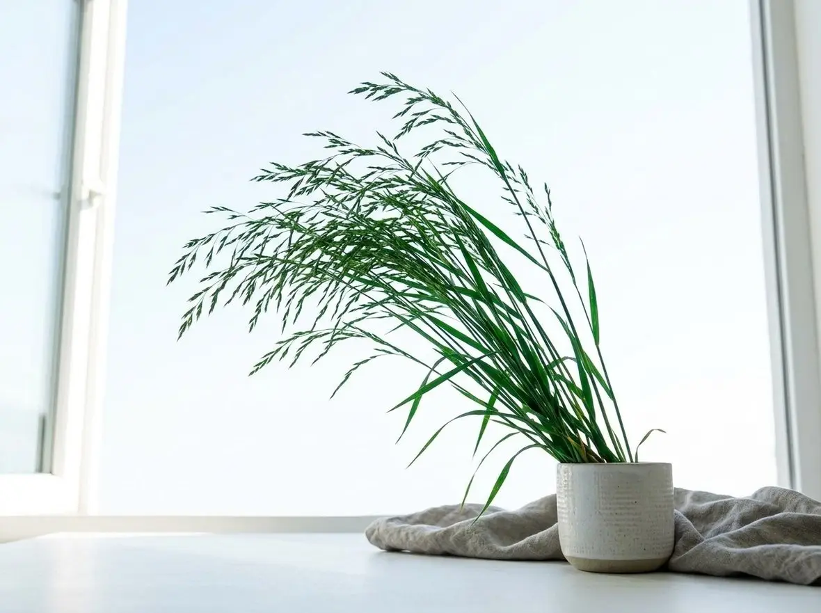 A potted plant on a windowsill in bright daylight